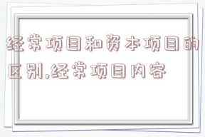 经常项目和资本项目的区别,经常项目内容