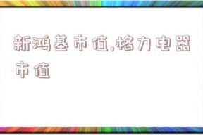 新鸿基市值,格力电器市值