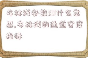 布林线参数20什么意思,布林线的通道宽度指标