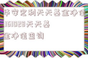 华安宏利天天基金净值,161028天天基金净值查询