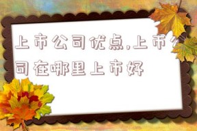 上市公司优点,上市公司在哪里上市好