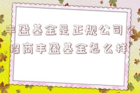 丰盈基金是正规公司么,招商丰盈基金怎么样