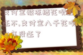 支付宝被冻结花呗还要还不,支付宝八千花呗二年没还了