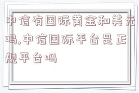 中信有国际黄金和美元吗,中信国际平台是正规平台吗