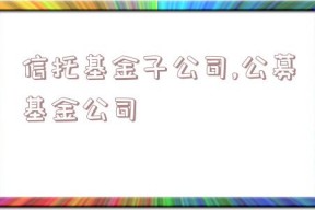 信托基金子公司,公募基金公司