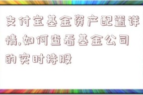 支付宝基金资产配置详情,如何查看基金公司的实时持股