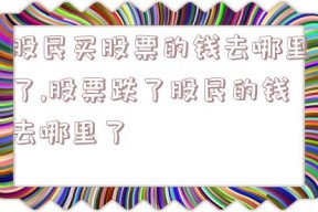 股民买股票的钱去哪里了,股票跌了股民的钱去哪里了