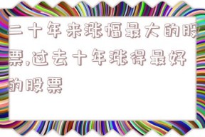 二十年来涨幅最大的股票,过去十年涨得最好的股票