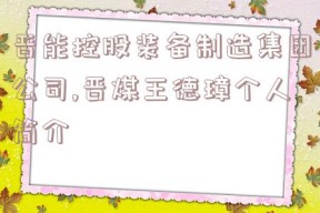 晋能控股装备制造集团公司,晋煤王德璋个人简介