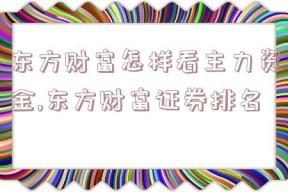 东方财富怎样看主力资金,东方财富证券排名