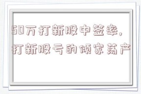 50万打新股中签率,打新股亏的倾家荡产