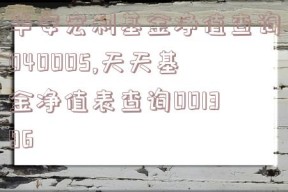 华安宏利基金净值查询040005,天天基金净值表查询001396