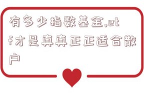 有多少指数基金,etf才是真真正正适合散户