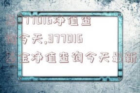 基377016净值查询今天,377016基金净值查询今天最新