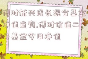 博时新兴成长混合基金净值查询,博时价值二号基金今日净值