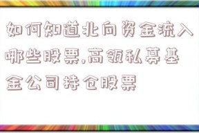 如何知道北向资金流入哪些股票,高瓴私募基金公司持仓股票