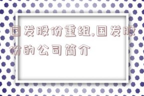 国发股份重组,国发股份的公司简介