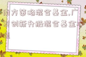 南方策略混合基金,广发创新升级混合基金净值