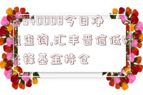 基540008今日净值查询,汇丰晋信低碳先锋基金持仓