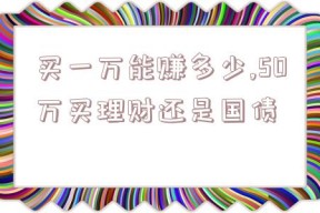 买一万能赚多少,50万买理财还是国债