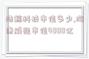 浩鲸科技市值多少,海康威视市值4000亿
