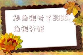 炒白银亏了5000,白银分析