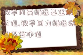 银华内需精选基金最新估值,银华同力精选混合基金净值