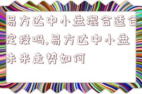 易方达中小盘混合适合定投吗,易方达中小盘未来走势如何