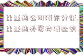 比亚迪公司股东分析,比亚迪外资持股比例