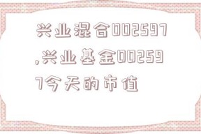 兴业混合002597,兴业基金002597今天的市值