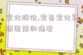 宜化股份,宜昌宜化集团目前的情况