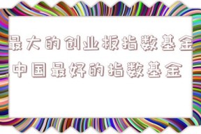 最大的创业板指数基金,中国最好的指数基金