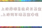 上投摩根慧选成长基金,上投阿尔法基金净值