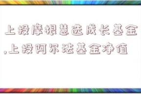 上投摩根慧选成长基金,上投阿尔法基金净值