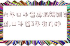 六年口子窖真假辨别带图,口子窖6年有几种