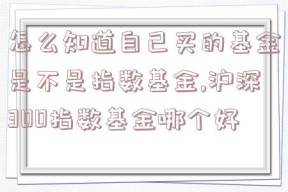 怎么知道自己买的基金是不是指数基金,沪深300指数基金哪个好