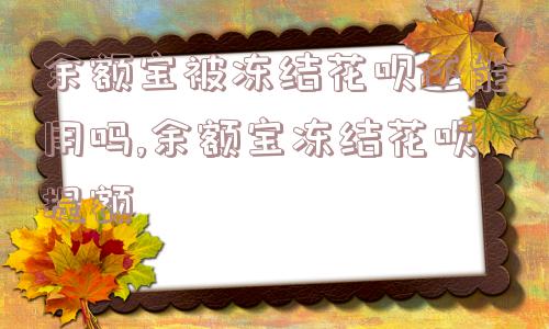 余额宝被冻结花呗还能用吗,余额宝冻结花呗提额  第1张