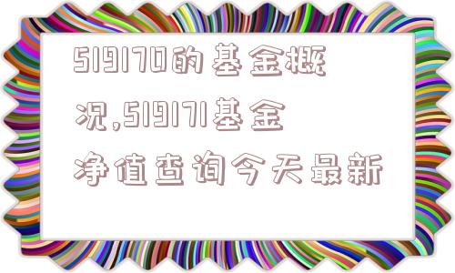 519170的基金概况,519171基金净值查询今天最新  第1张