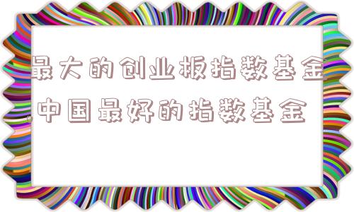 最大的创业板指数基金,中国最好的指数基金  第1张