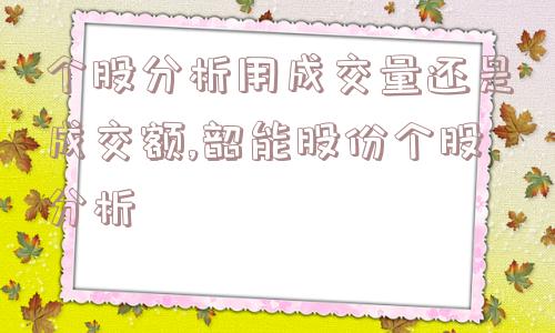 个股分析用成交量还是成交额,韶能股份个股分析  第1张