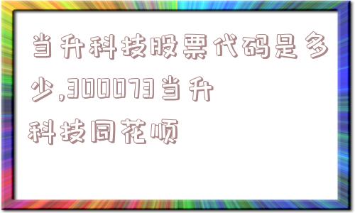 当升科技股票代码是多少,300073当升科技同花顺  第1张