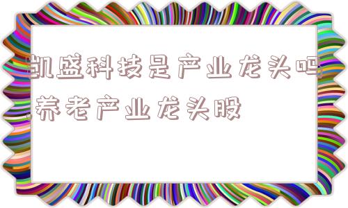 凯盛科技是产业龙头吗,养老产业龙头股  第1张