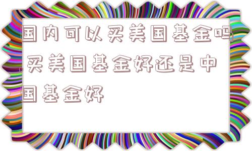 国内可以买美国基金吗,买美国基金好还是中国基金好  第1张