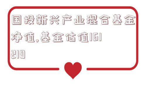 国投新兴产业混合基金净值,基金估值161219  第1张