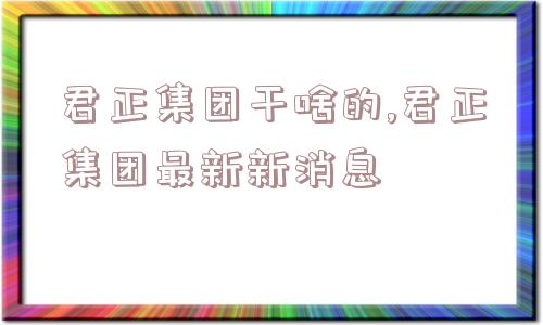 君正集团干啥的,君正集团最新新消息  第1张