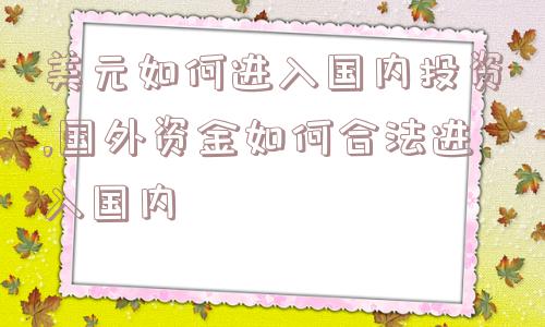 美元如何进入国内投资,国外资金如何合法进入国内  第1张