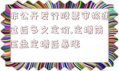 非公开发行股票审核通过后多久定价,定增前压盘定增后暴涨  第1张