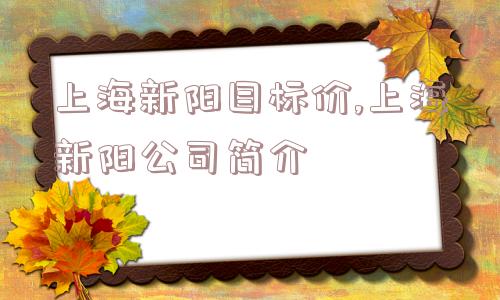 上海新阳目标价,上海新阳公司简介  第1张