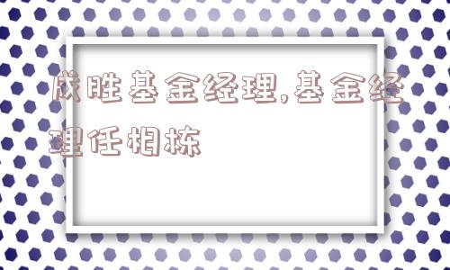 成胜基金经理,基金经理任相栋  第1张