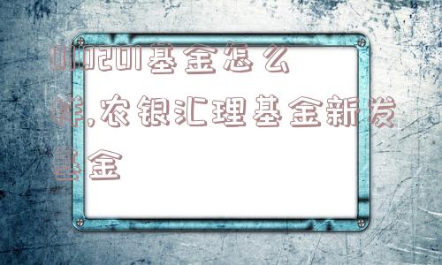 010201基金怎么样,农银汇理基金新发基金  第1张